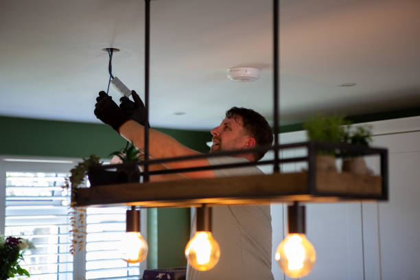 Best Electric Panel Repair  in Lavonia, GA